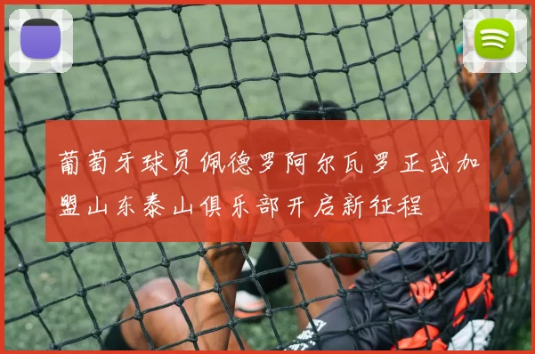 葡萄牙球员佩德罗阿尔瓦罗正式加盟山东泰山俱乐部开启新征程