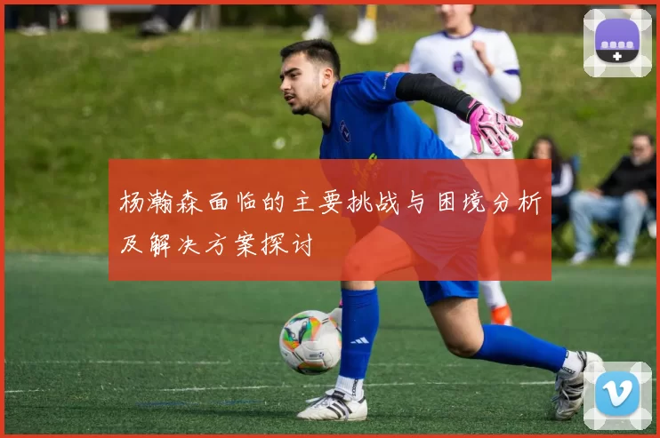 杨瀚森面临的主要挑战与困境分析及解决方案探讨